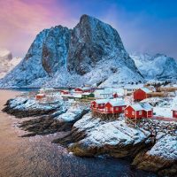 Bus & Minivan Tours