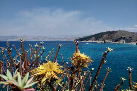 Valentine's Day in Ksamil