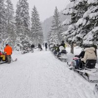 Ski & Snow