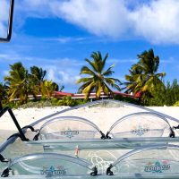 Glass Bottom Boat Tours