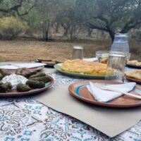 Sustainable Tours