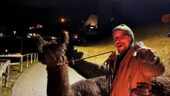 Llama trek with yummy fondue