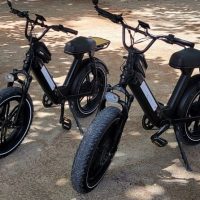 Bike Rentals