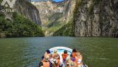 Crocs & Monkeys & Birds, oh my!