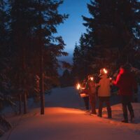 Night Tours