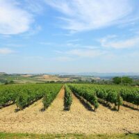 Tours & Sightseeing
