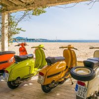 Bike Rentals