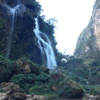 Eco Tours