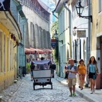 Private & Custom Tours