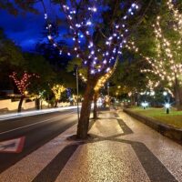 Seasonal Events