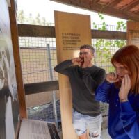 Sightseeing Tickets & Passes