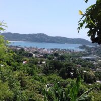 Tours & Sightseeing