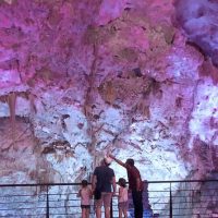 Eco Tours