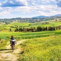 Bike Rentals