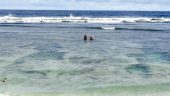 When in Tonga you must do this tour!