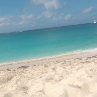 Cultural & Theme Tours