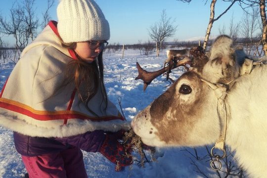 Easter in Northern Sweden