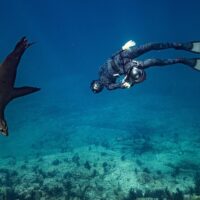 Photography Tours