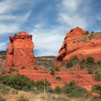 Volunteer Tours