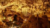The Bear’s Cave