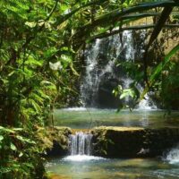 Cultural & Theme Tours