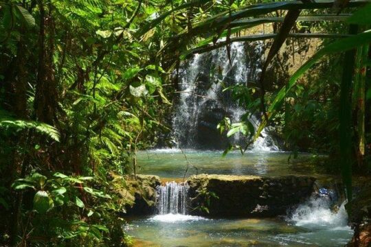 New Year’s Day long weekend in Suva