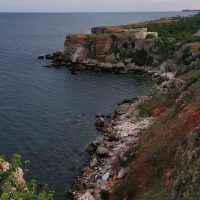 Bus & Minivan Tours
