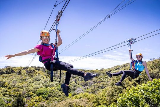 Valentine's Day in Waiheke Island