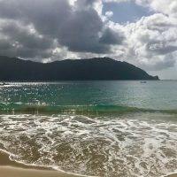 Half-day Tours