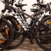 Walking & Biking Tours