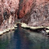 Ports of Call Tours