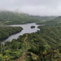 Walking & Biking Tours