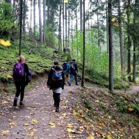 Multi-day & Extended Tours