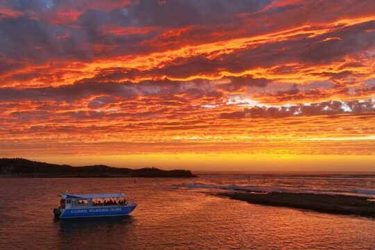 Hanukkah in Kalbarri
