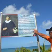 Half-day Tours