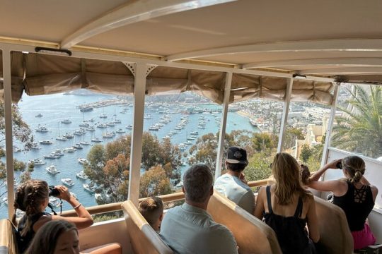 New Year’s Eve in Catalina Island