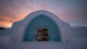 Great experience with Northern Light and excellent foods and a perfect Guide