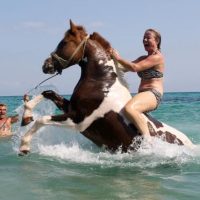Horseback Riding