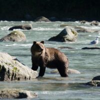 Shore Excursions