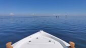 Chioggia private boat tour