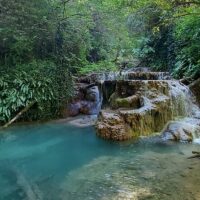 Holiday & Seasonal Tours