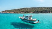 Best vibes in Palau boat tour