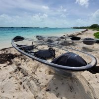 Eco Tours
