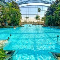 Theme Park Tickets & Tours