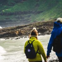 Bus & Minivan Tours