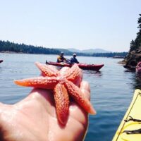 Boat Tours