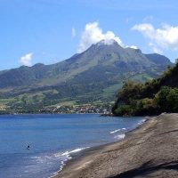 Bus & Minivan Tours