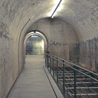 Tours & Sightseeing