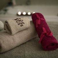 Spa Tours