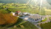 Amazing Wine Tour!